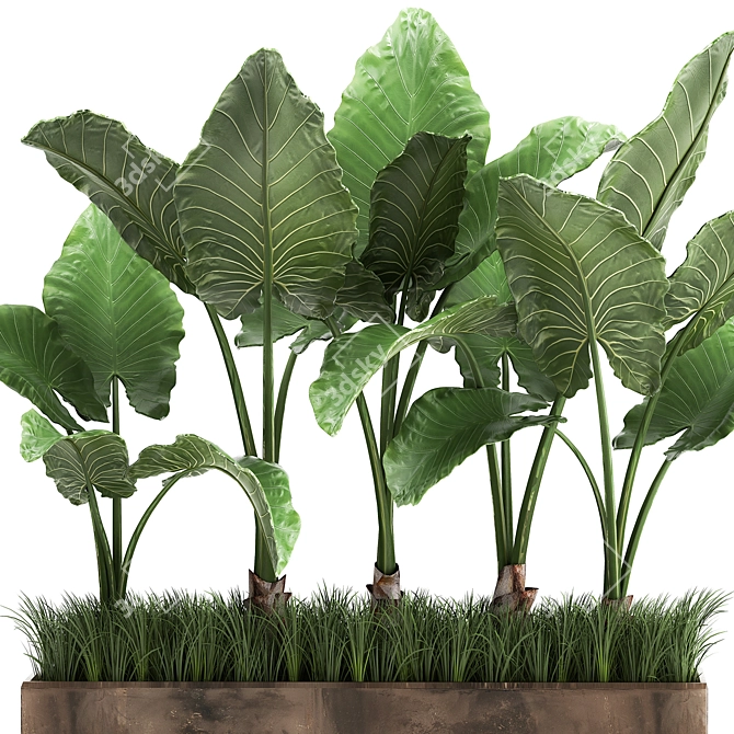 Tropical Plant Collection in Rustic Metal Pots 3D model image 4