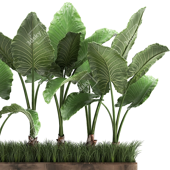 Tropical Plant Collection in Rustic Metal Pots 3D model image 5