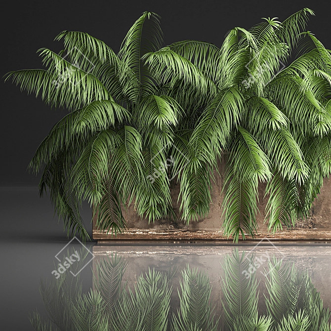 Tropical Plant Collection 3D model image 2