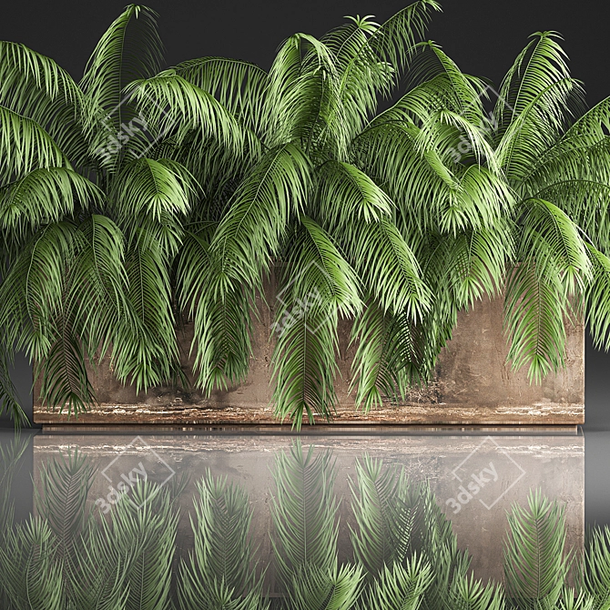 Tropical Plant Collection 3D model image 3