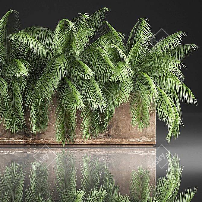 Tropical Plant Collection 3D model image 4