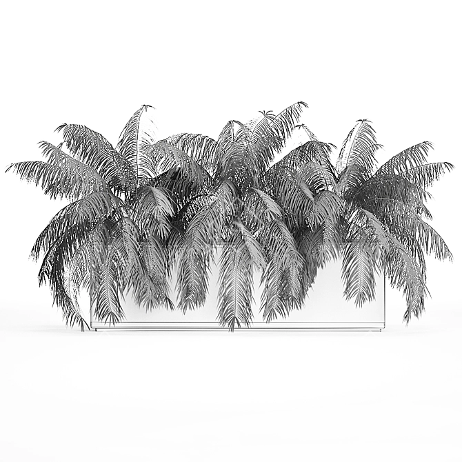 Tropical Plant Collection 3D model image 6