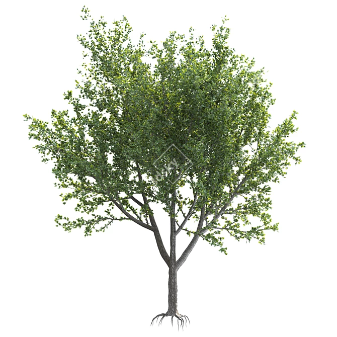 Speed Tree Model for Stunning Landscape 3D model image 1