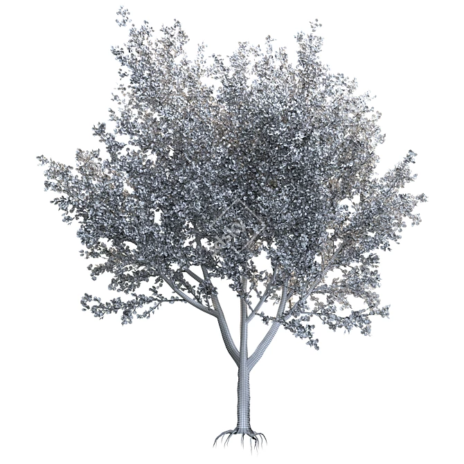 Speed Tree Model for Stunning Landscape 3D model image 4