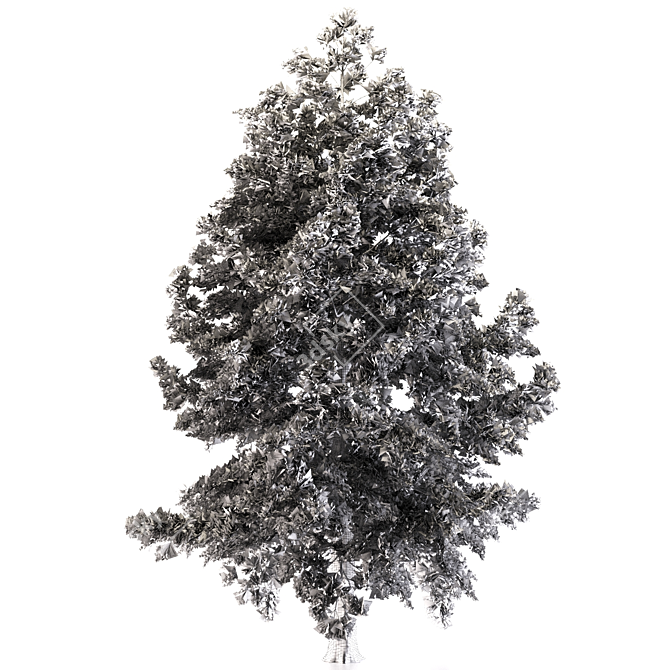 Japanese Larch: Majestic Mountain Tree 3D model image 3