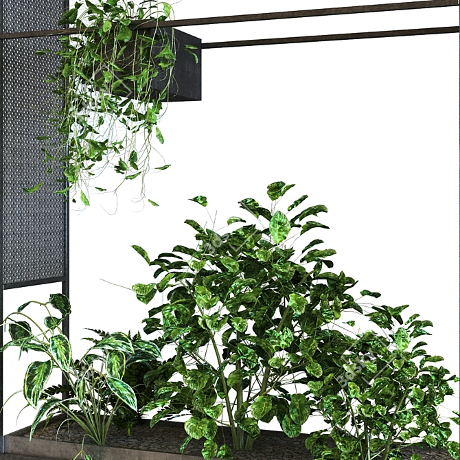 Botanical Bliss Plant Set 3D model image 6