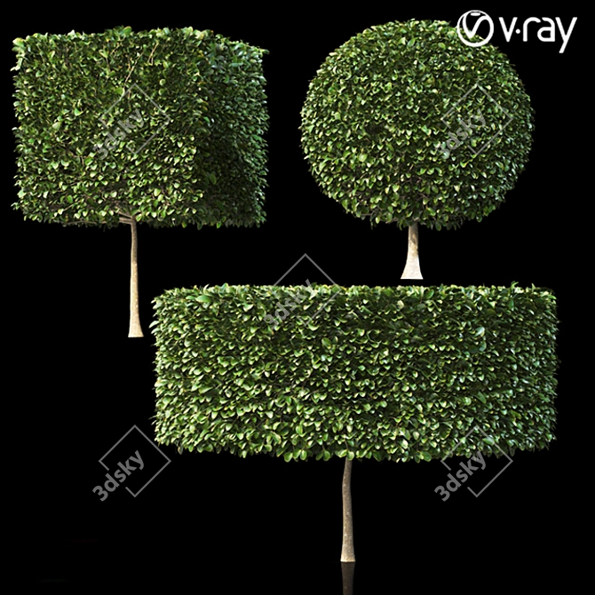 Lush Shrubbery 001: Detailed and Realistic 3D model image 1