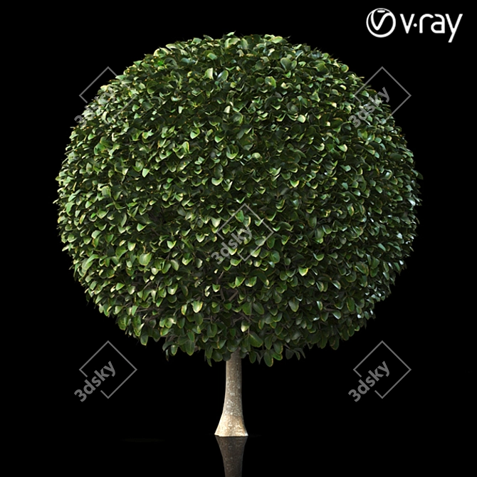 Lush Shrubbery 001: Detailed and Realistic 3D model image 3