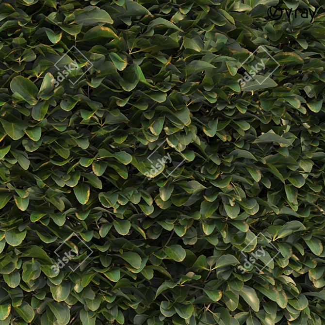 Lush Shrubbery 001: Detailed and Realistic 3D model image 5