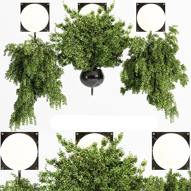 Illuminated Hanging Plant 3D model image 1