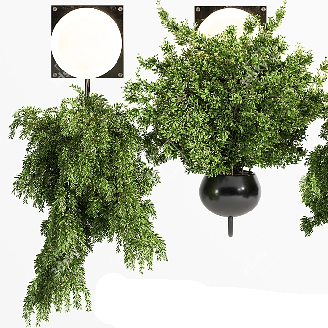 Illuminated Hanging Plant 3D model image 2