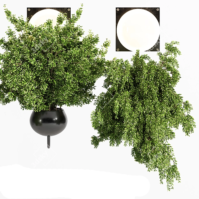 Illuminated Hanging Plant 3D model image 3