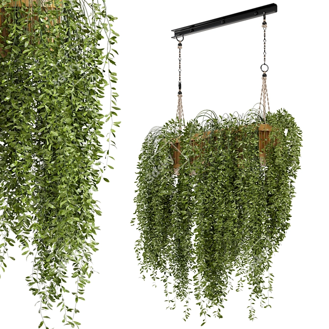 Natural Wood Indoor Hanging Plants with Macrame Décor 3D model image 2