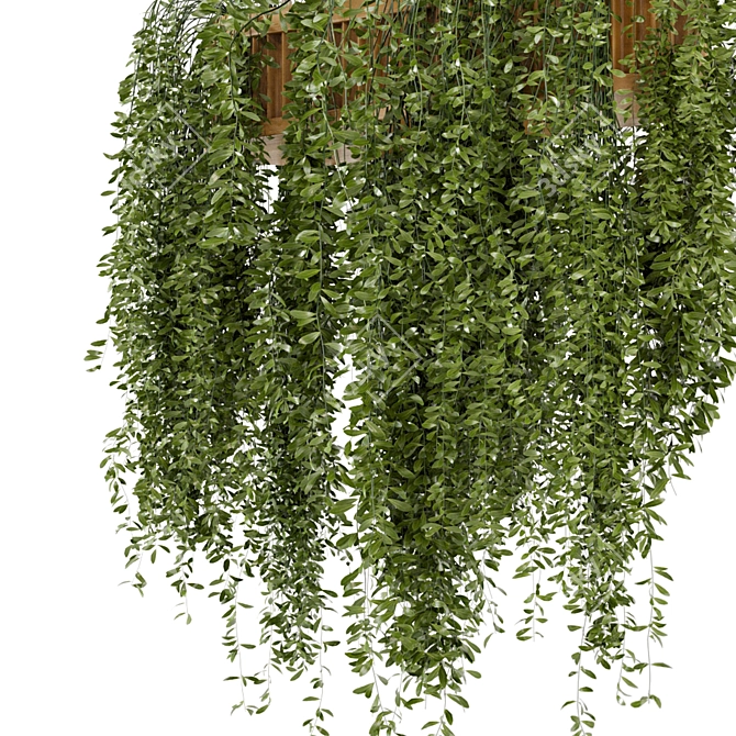 Natural Wood Indoor Hanging Plants with Macrame Décor 3D model image 4