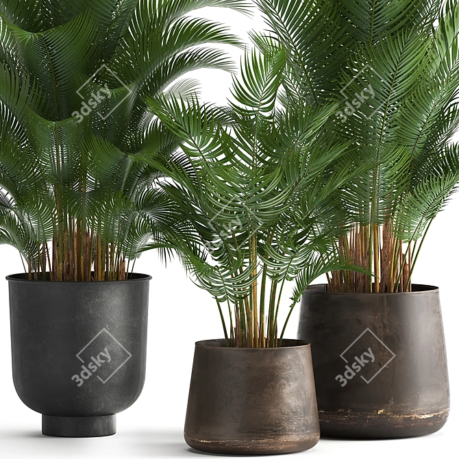 Tropical Plant Collection: Exotic Palms in Rustic Pots 3D model image 3