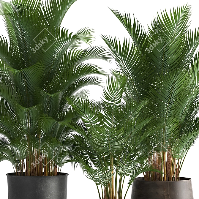 Tropical Plant Collection: Exotic Palms in Rustic Pots 3D model image 4