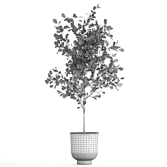 Tropical Plant Collection: Exotic Trees & Decor in Metal Pots 3D model image 7