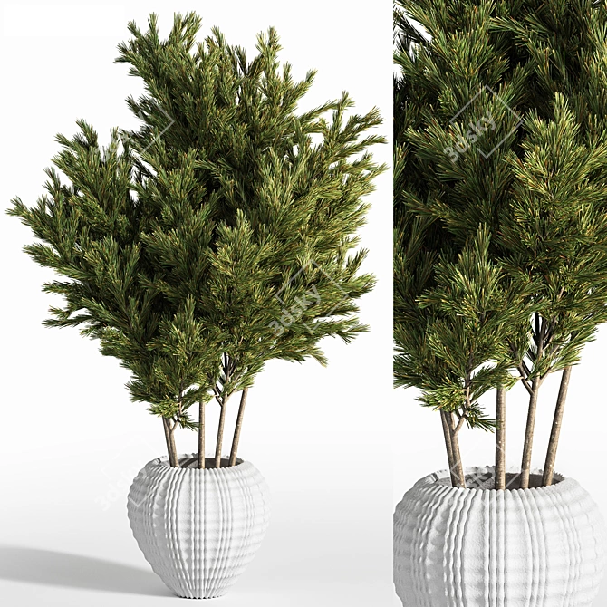 Lush Indoor Plant Set: 21 Varieties 3D model image 1