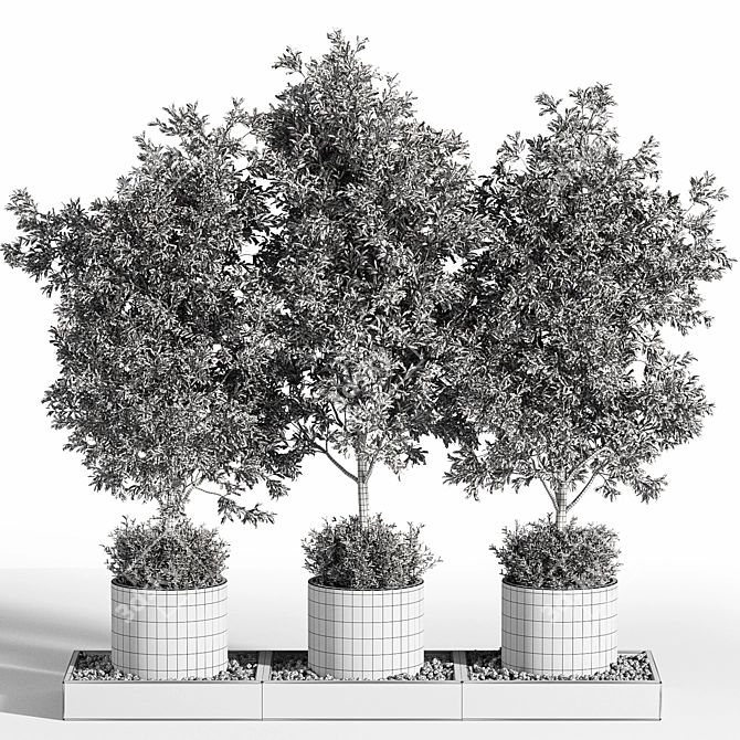 Outdoor Tree Plants 11 3D model image 6