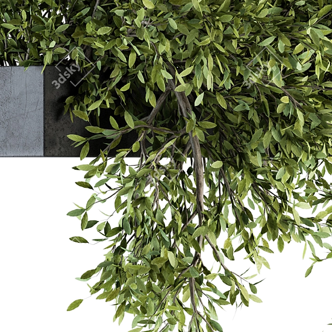 206 Outdoor Hanging Plant Set 3D model image 2