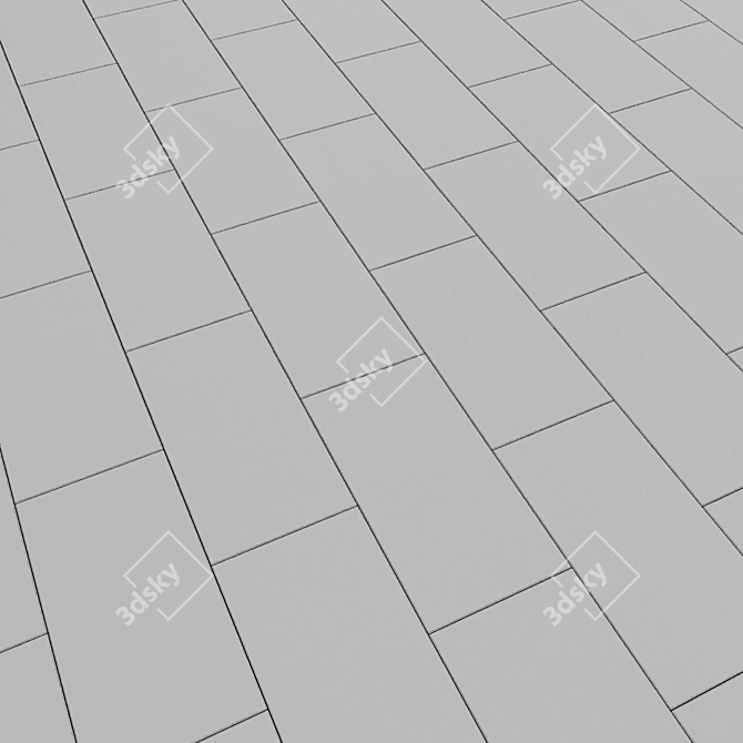 Stone Star Gray Laminate Flooring 3D model image 2