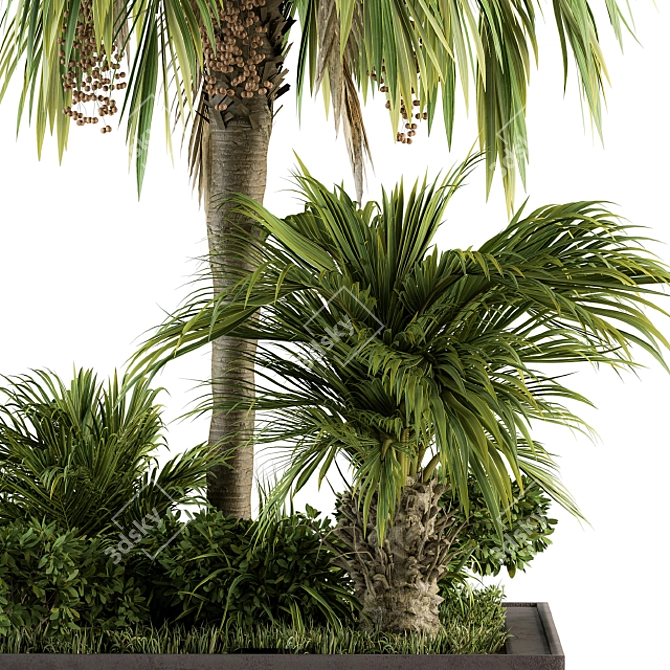 Tropical Oasis Garden Set 3D model image 2