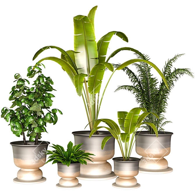 Green Thumb Indoor Plant Set 3D model image 1