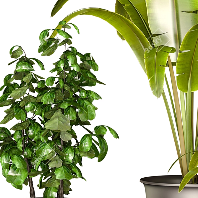 Green Thumb Indoor Plant Set 3D model image 2