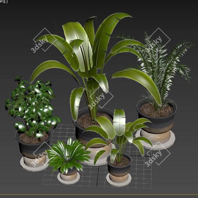 Green Thumb Indoor Plant Set 3D model image 3