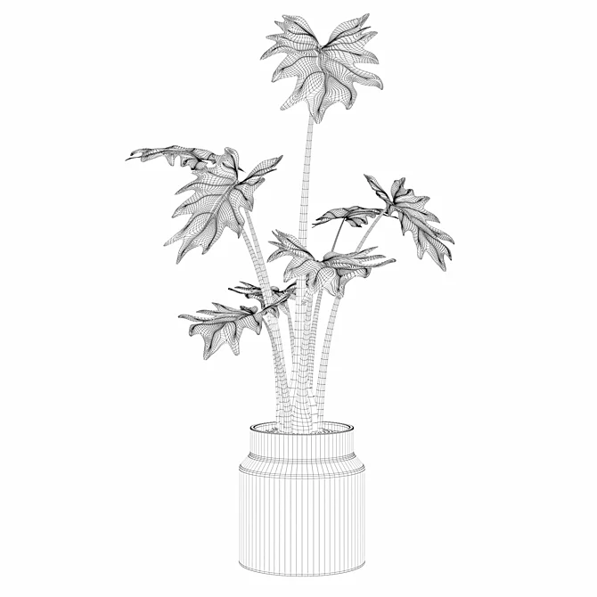 Lush Greenery: Philodendron Xanadu 3D model image 4