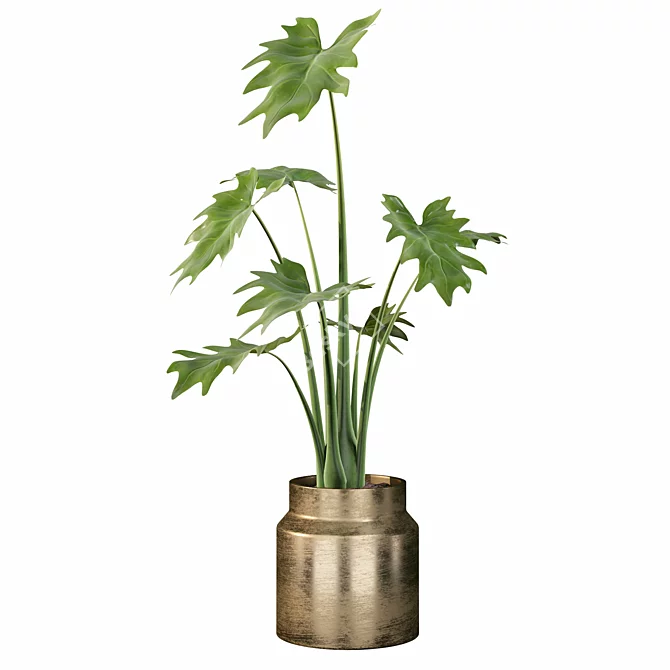 Lush Greenery: Philodendron Xanadu 3D model image 5