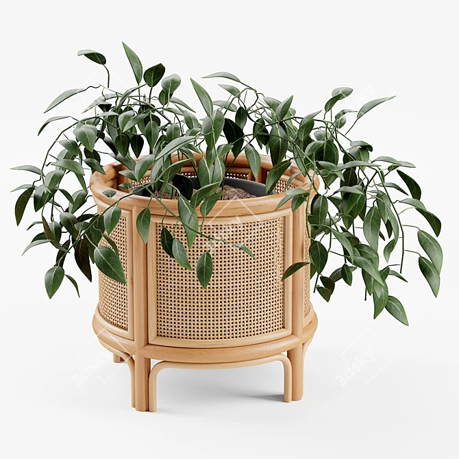 Boho Rattan 12" Planter 3D model image 1