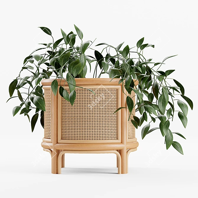 Boho Rattan 12" Planter 3D model image 3