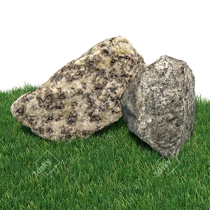 Landscape Stones: Detailed Texture, 360° Scanned 3D model image 4