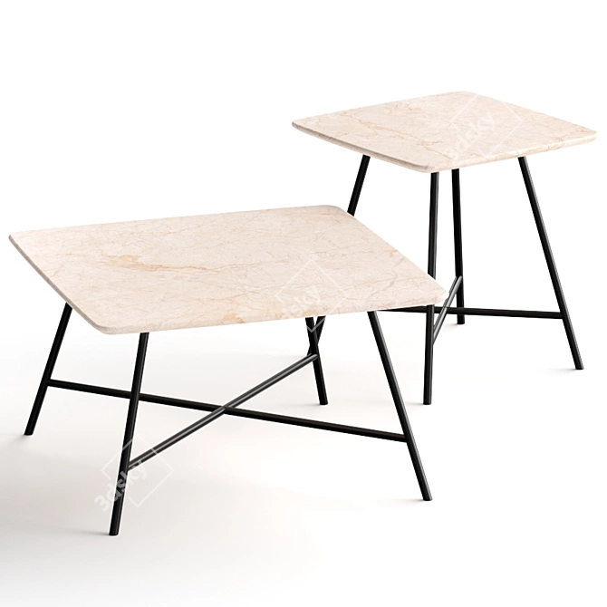 Paola Zani Asia Coffee Tables - Stylish and Versatile 3D model image 2