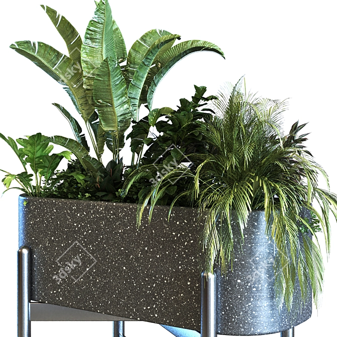 Elegant Plant Box Set 062 3D model image 2