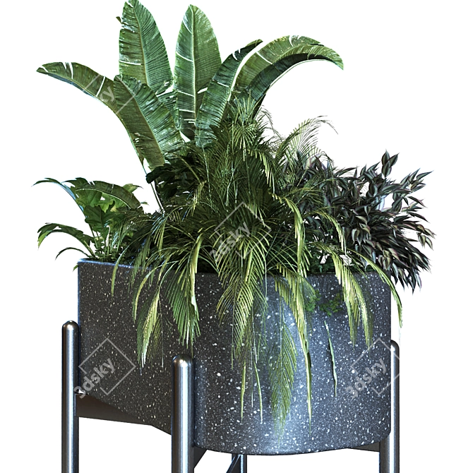 Elegant Plant Box Set 062 3D model image 3