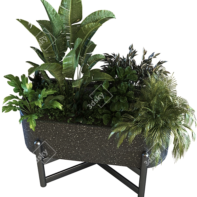 Elegant Plant Box Set 062 3D model image 4