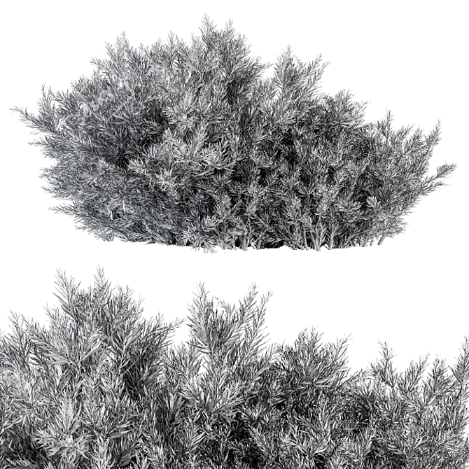 Artificial Needle Leaf Bush Set 3D model image 4