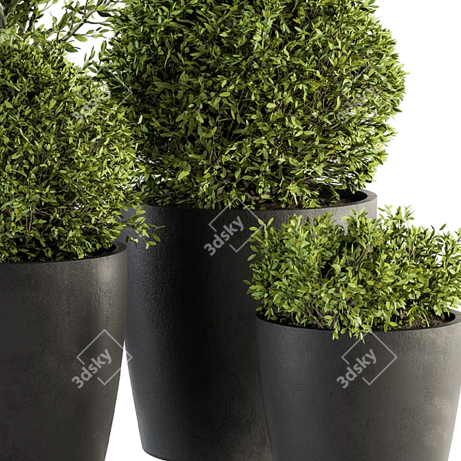 Green Oasis Plant Set 3D model image 2