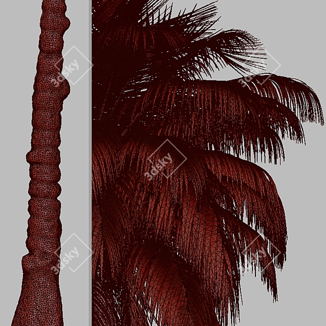 Exquisite Set: 2 Kentia Palm Trees 3D model image 5