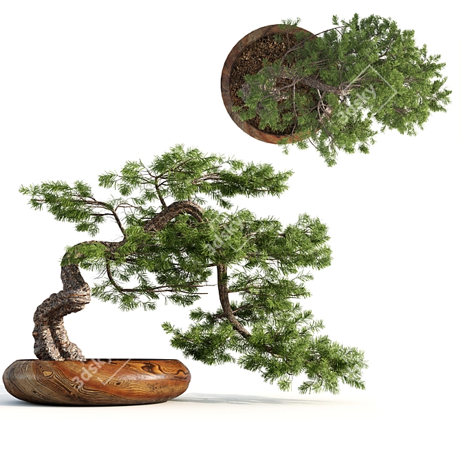 Bonsai Master Kit: 3D Model & Render 3D model image 1