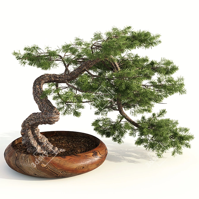 Bonsai Master Kit: 3D Model & Render 3D model image 2