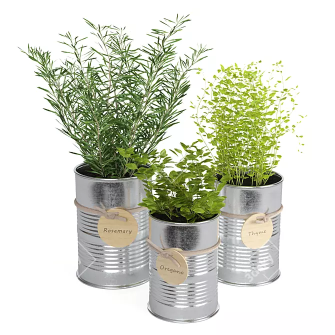 Fresh Herb Trio for the Kitchen 3D model image 1