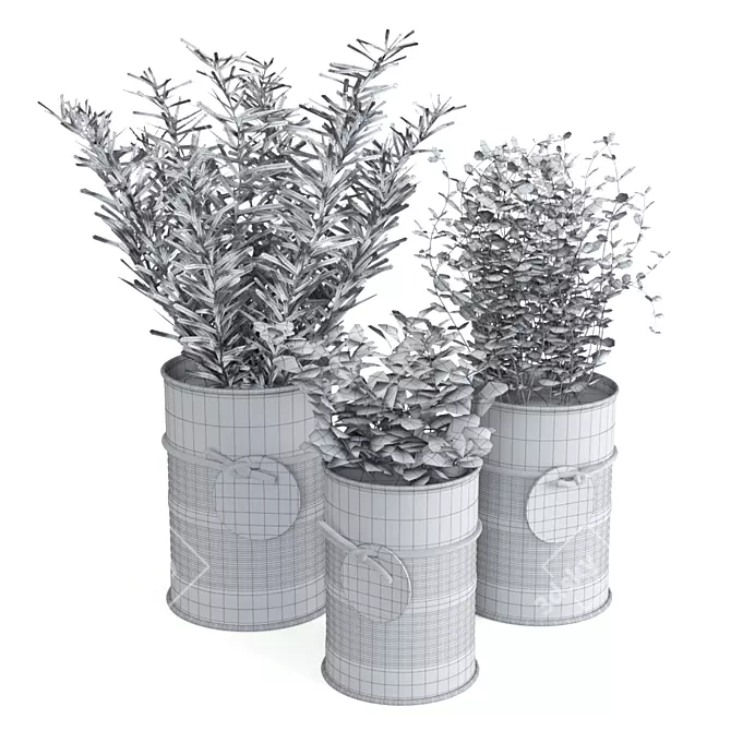 Fresh Herb Trio for the Kitchen 3D model image 5