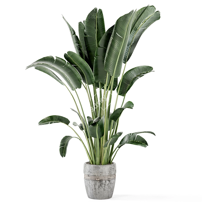 Rustic Concrete Pot with Indoor Plants - Set 124 3D model image 2