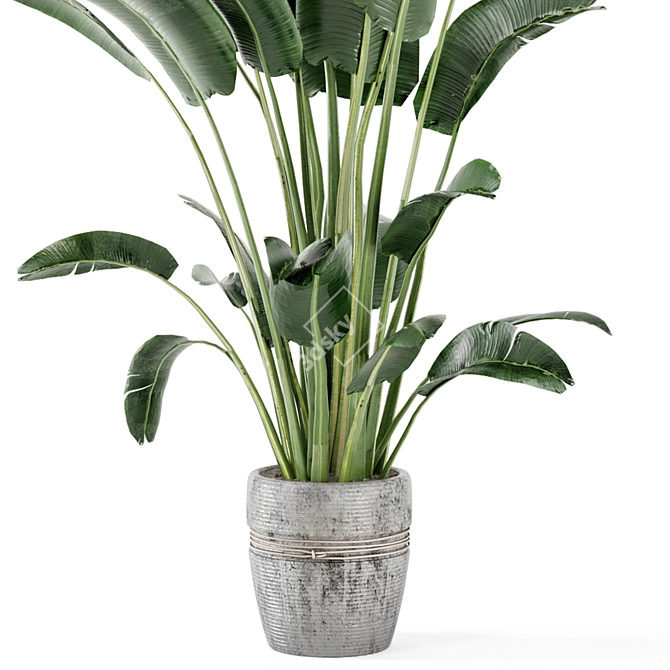 Rustic Concrete Pot with Indoor Plants - Set 124 3D model image 3