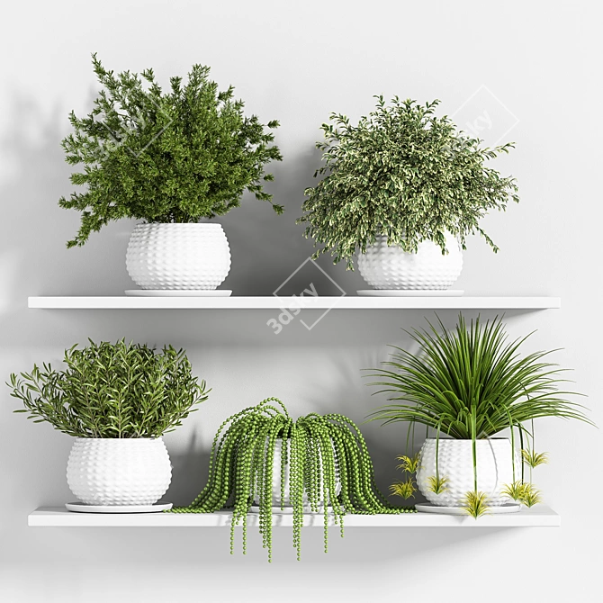 Botanical Bliss: Indoor Plant Set 3D model image 1