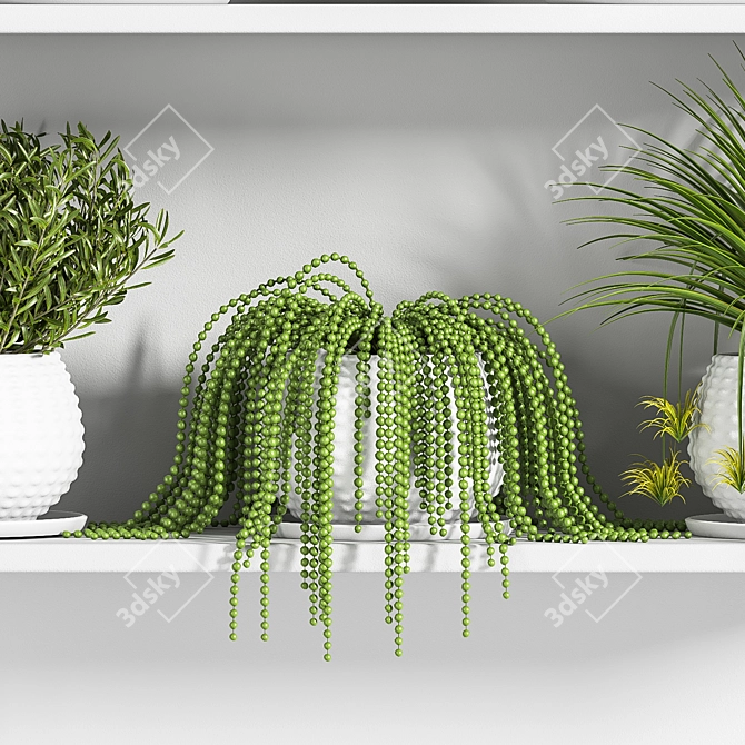 Botanical Bliss: Indoor Plant Set 3D model image 2