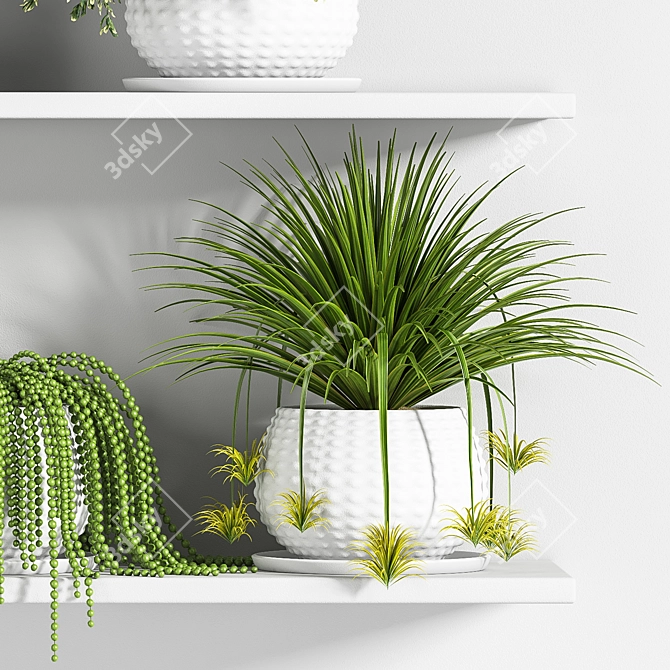 Botanical Bliss: Indoor Plant Set 3D model image 3